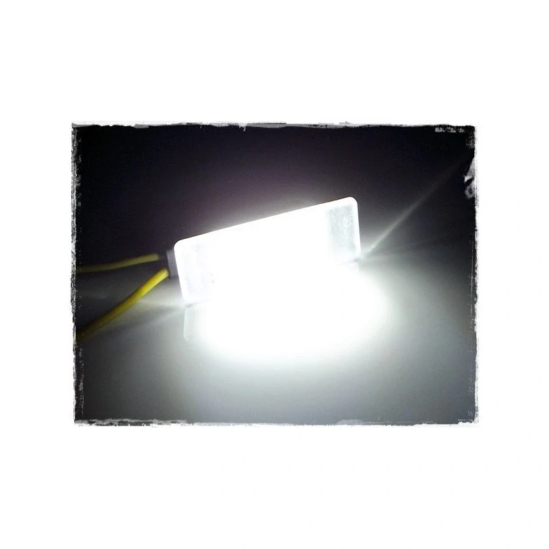 LED osvětlení SPZ CITROEN C3 II (2009-2016)